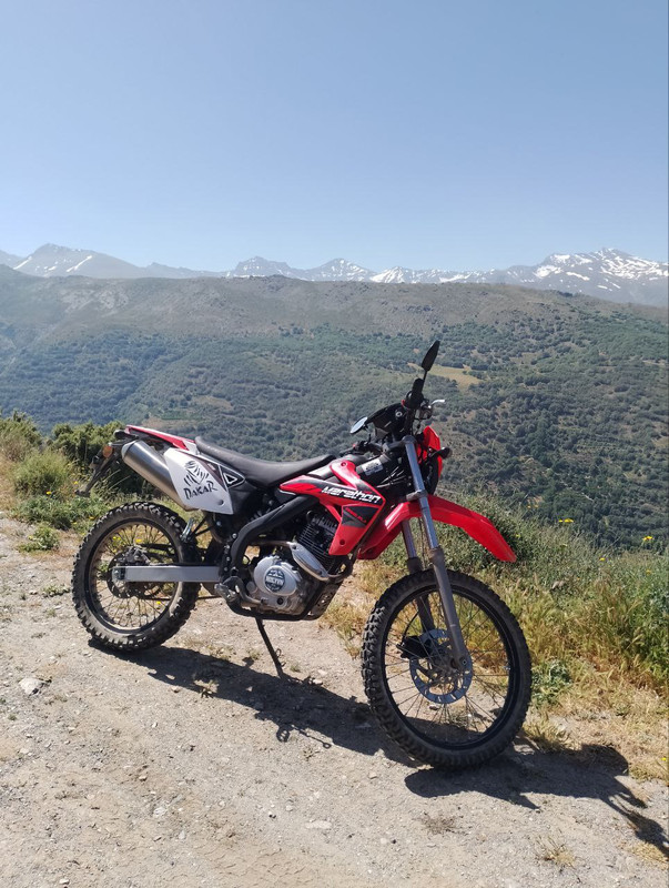 photo_6037440106878584511_y