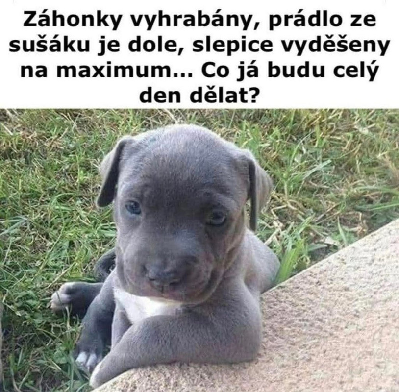 IMG-e3a8ea3de7117645815c9c81389c348a-V