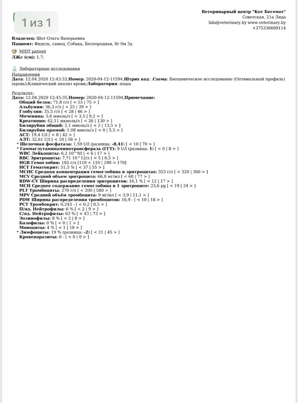 7FB35CB5-1A31-4526-96B2-2F91432F0C2B