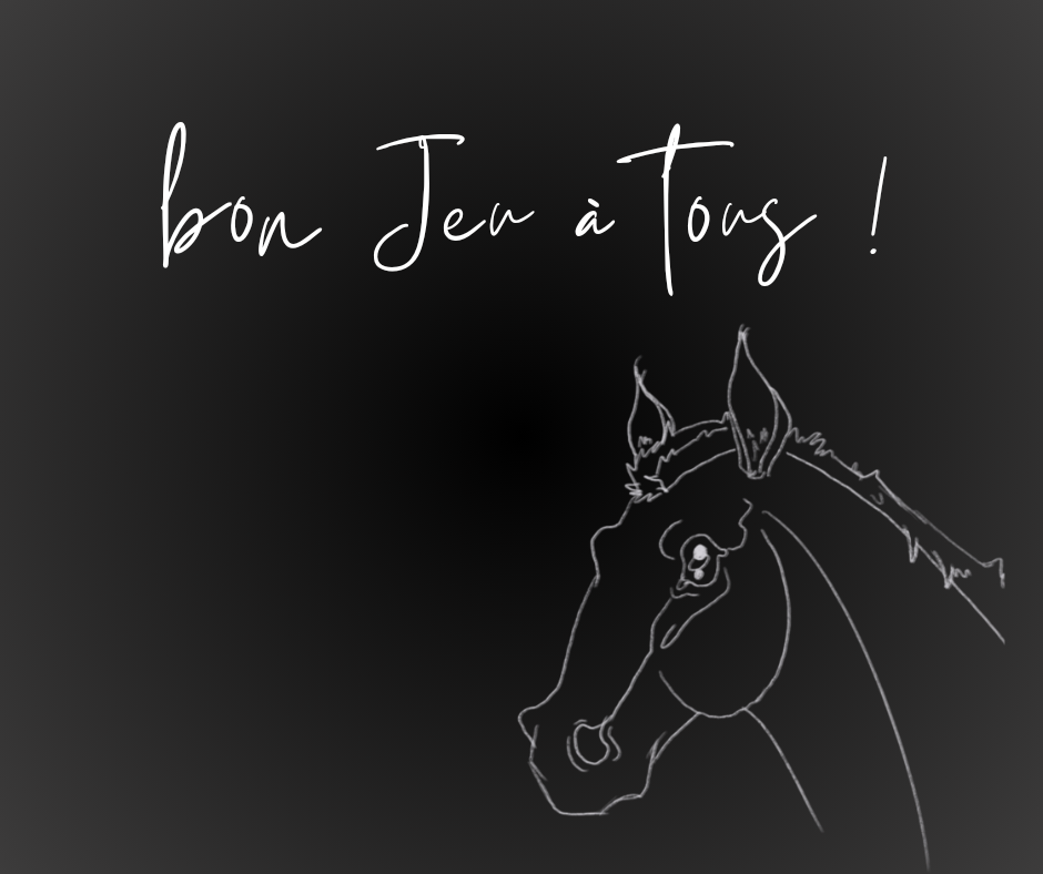 Bon-jeu-equi-20241126-155704-0000.png