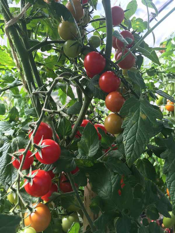 DF086025-568E-4060-B19B-52AA0CF7F8F7