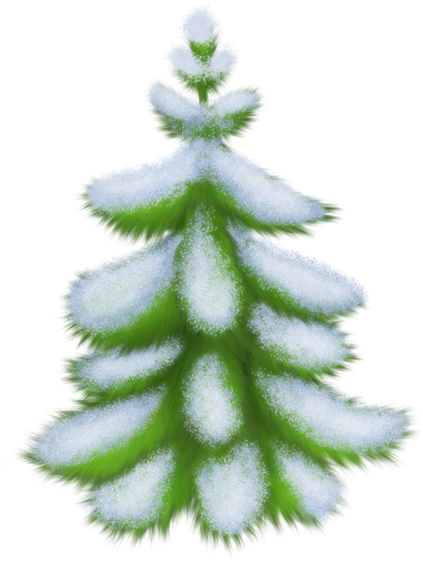 Christmas in Forest18