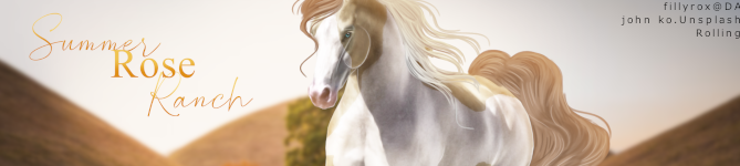Summer-Banner.png