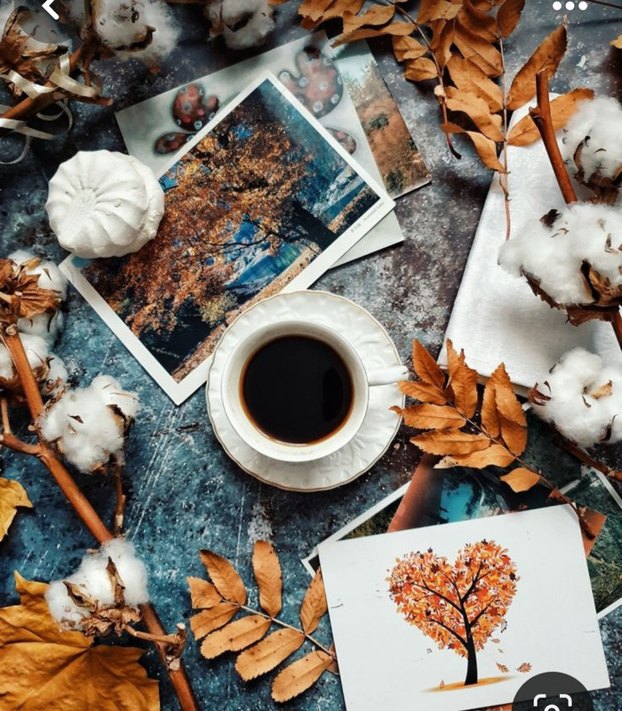 Screenshot_20230830_225342_Pinterest