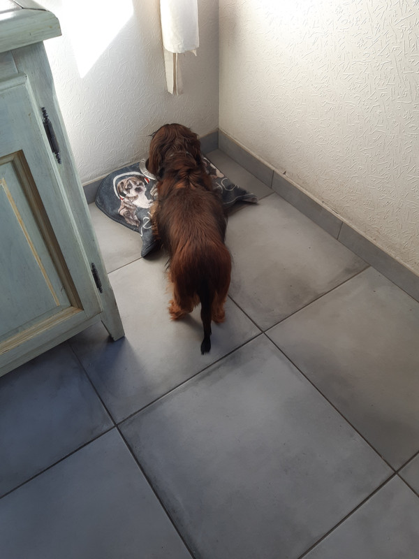 [Image: 20230403-174130.jpg]