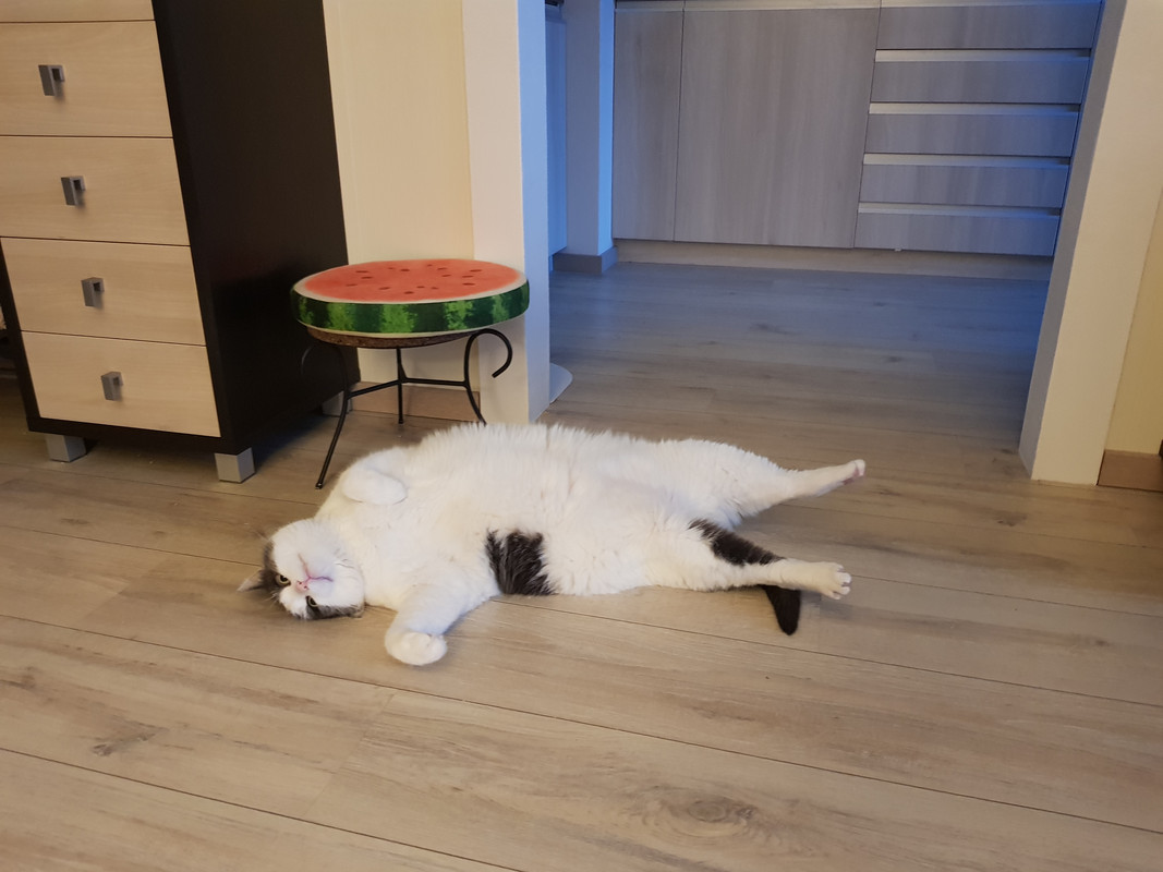 20190523-212844.jpg