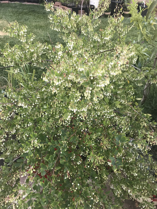 0A728DF7-21BA-41F5-ADA6-19B6AB3B0EDE