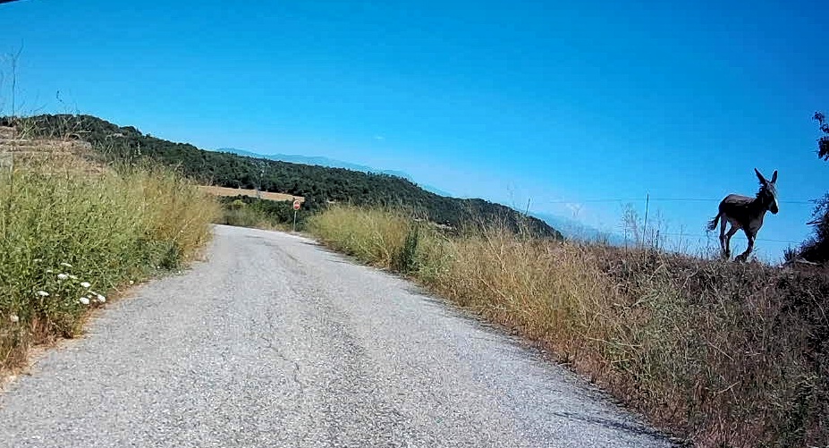 REC_210718-121038R-01