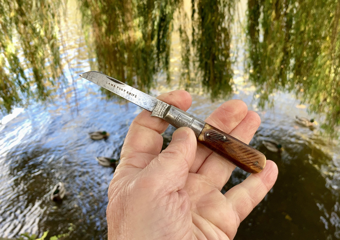 054DE5D1-8E0E-4596-A838-209C36DB2684