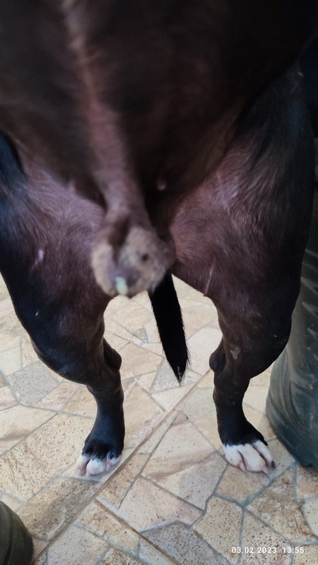 WhatsApp Image 2023-02-03 at 13.57.08 (1)