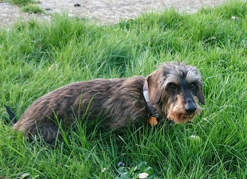 [Image: 20240308-151303.jpg]