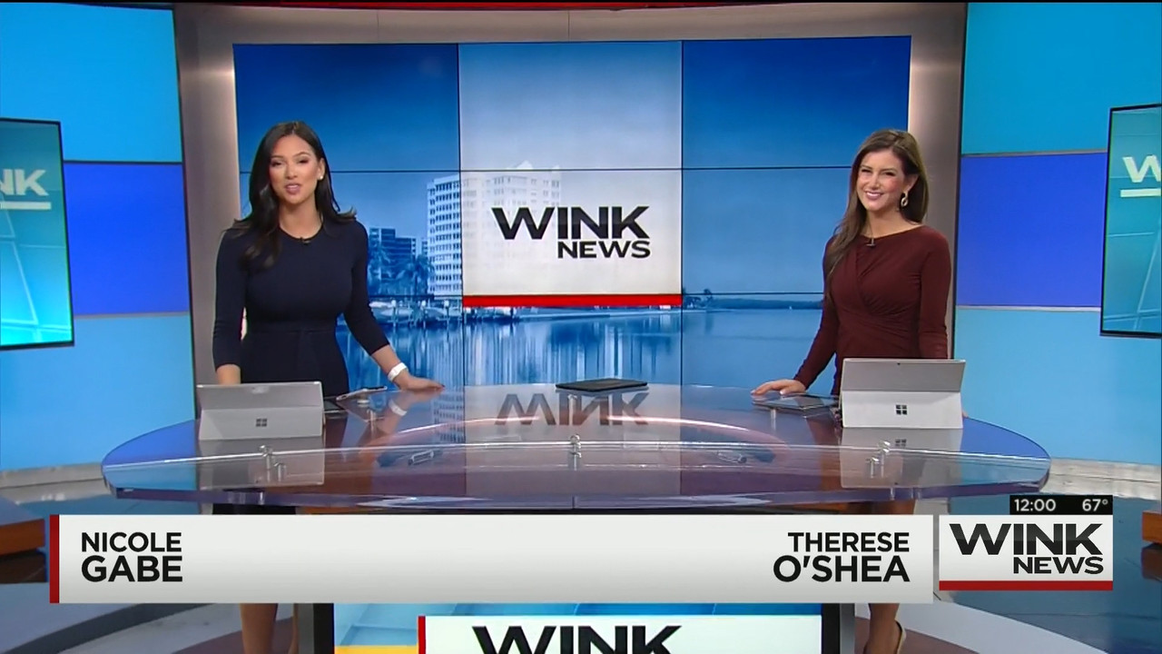 01.18 - 17.00.00 - WINK Noon News..mts_snapshot_02.58.060