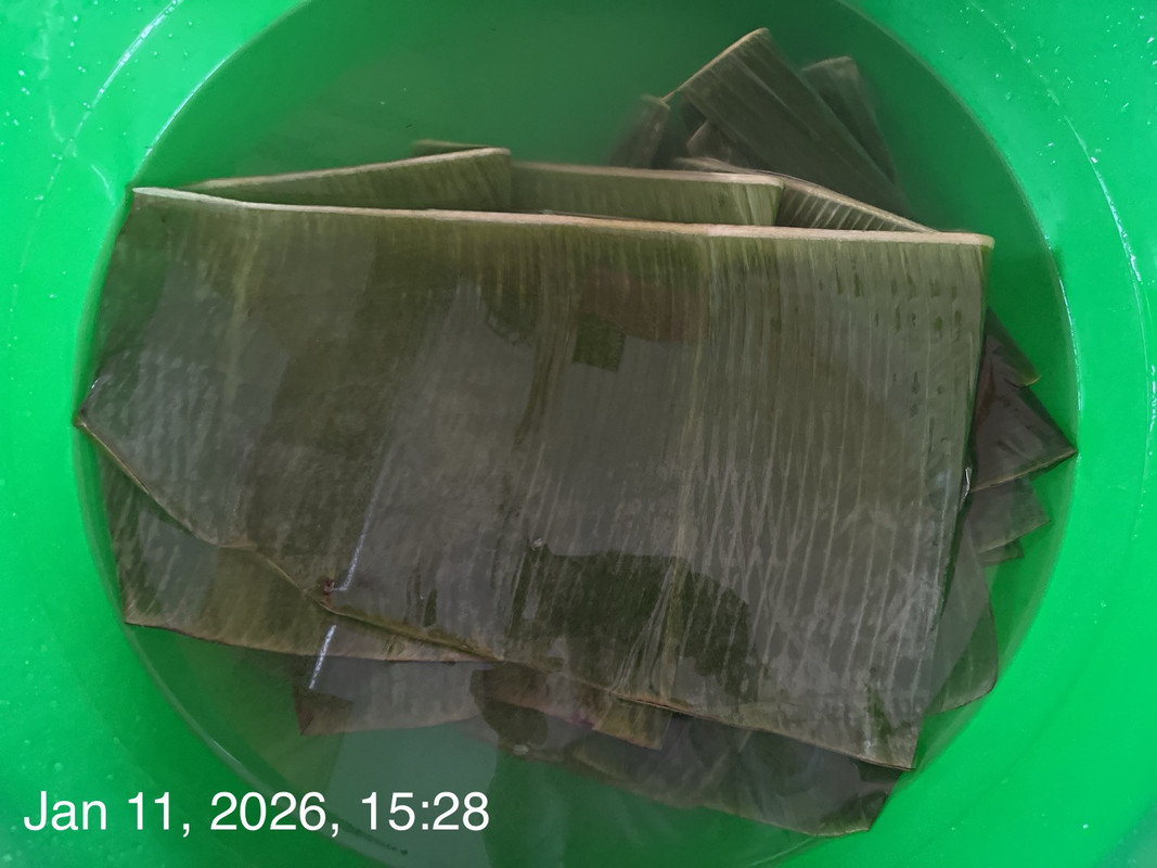 thumbnail IMG 2496 — Postimages