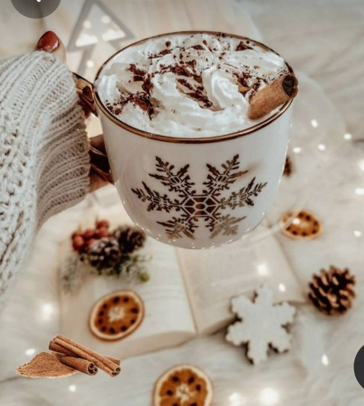 Screenshot_20231122_214150_Pinterest