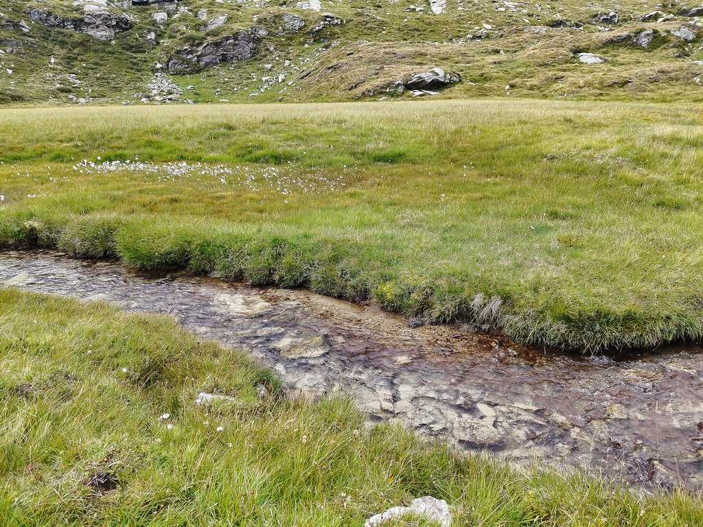 https://i.postimg.cc/0NB7tYBS/IMG20240828131035.jpg
