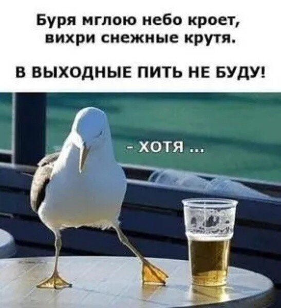 Посмеялся сам - поделись с другом!!!