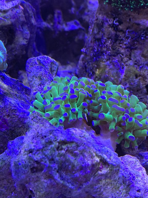 0C7C71F4-E0E2-4FFC-B19C-5173CB7CA97D