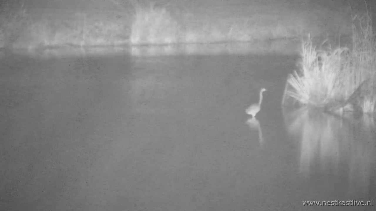 snapshot 2025 11 15T213426 343