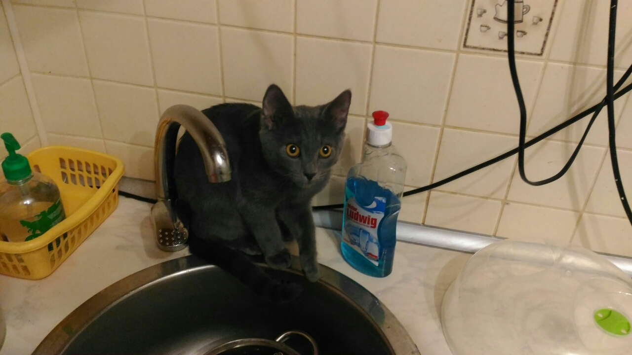 image-0-02-01-a890abf46c5a09f86a44d8d68ad80a7df9