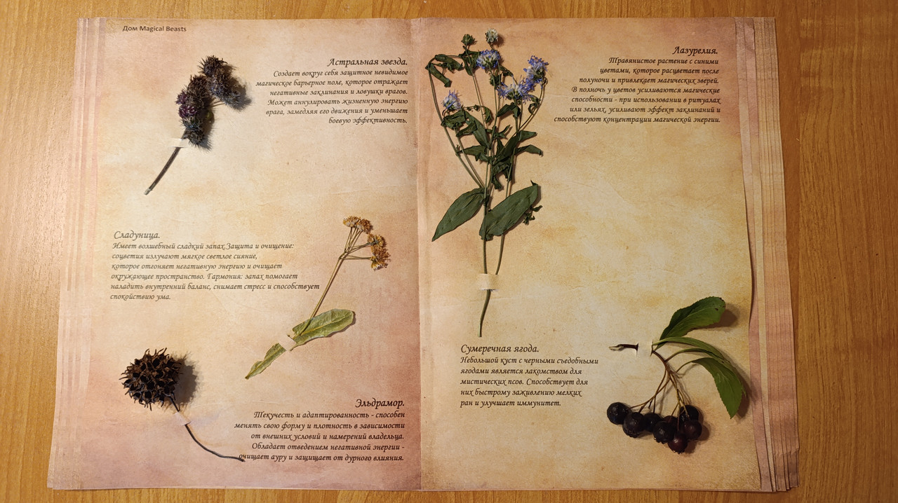 итоговая работа гербарий