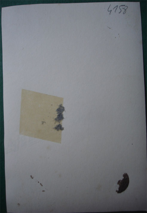Y6-2