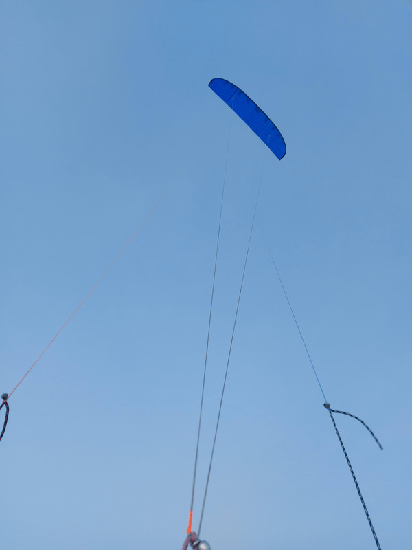 2EAF9E41-D98E-44AF-9F28-F400A83E4BCD