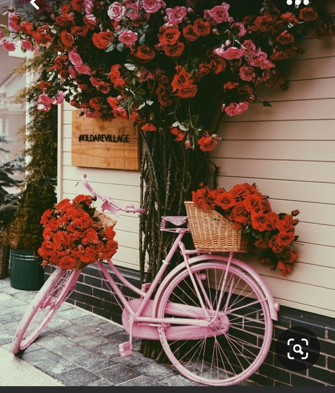 Screenshot_20230429_004854_Pinterest