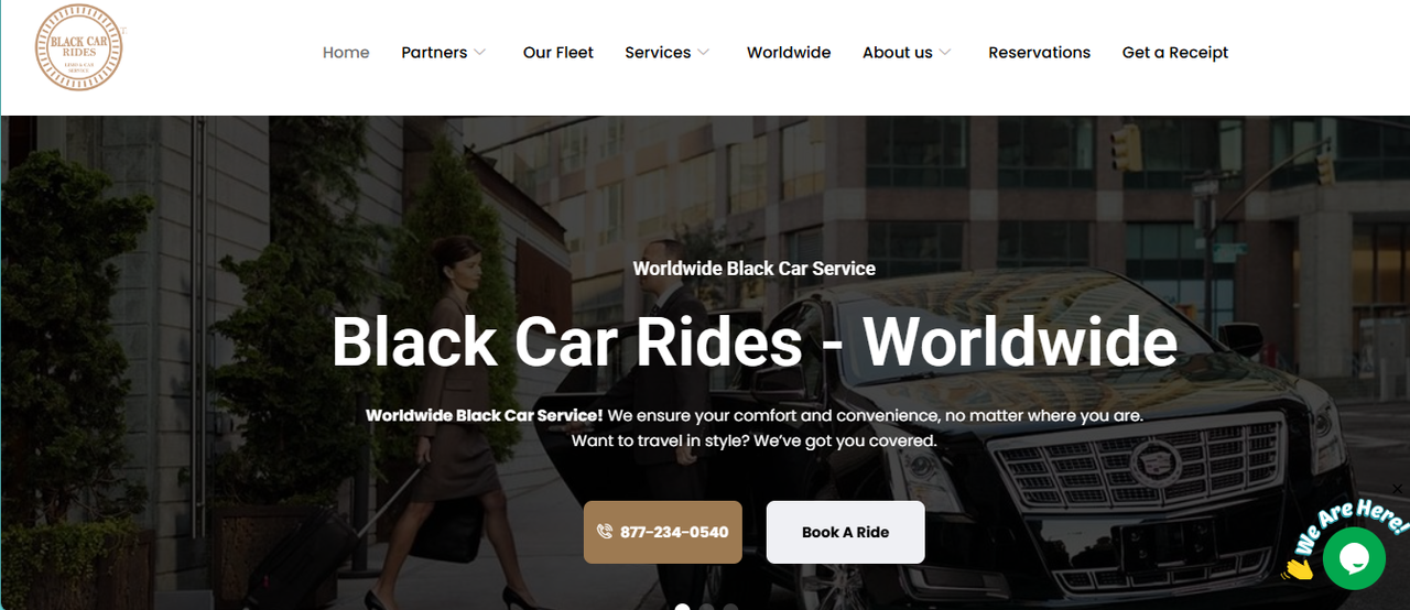 Online Audience business website project