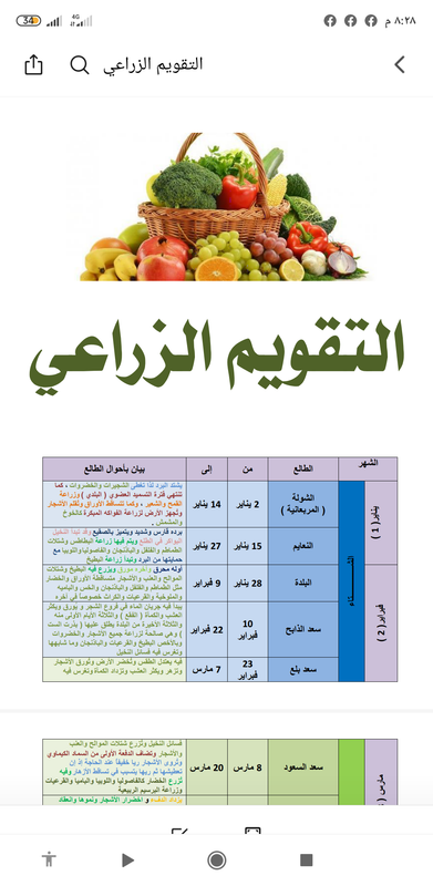 Screenshot_٢٠١٩-١٢-٠٥-٢٠-٢٨-٤٣-١٤٠_cn.wps.xiaomi.abroad.lite