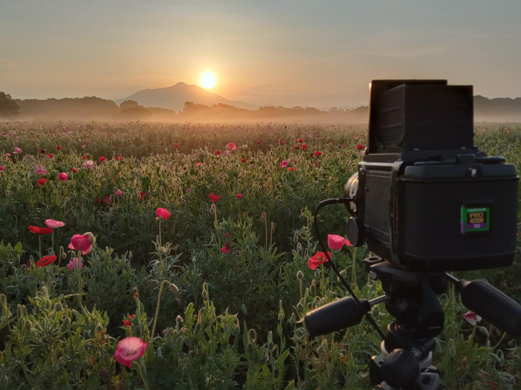 c43b15d1-a72f-4f65-a777-989efb546548