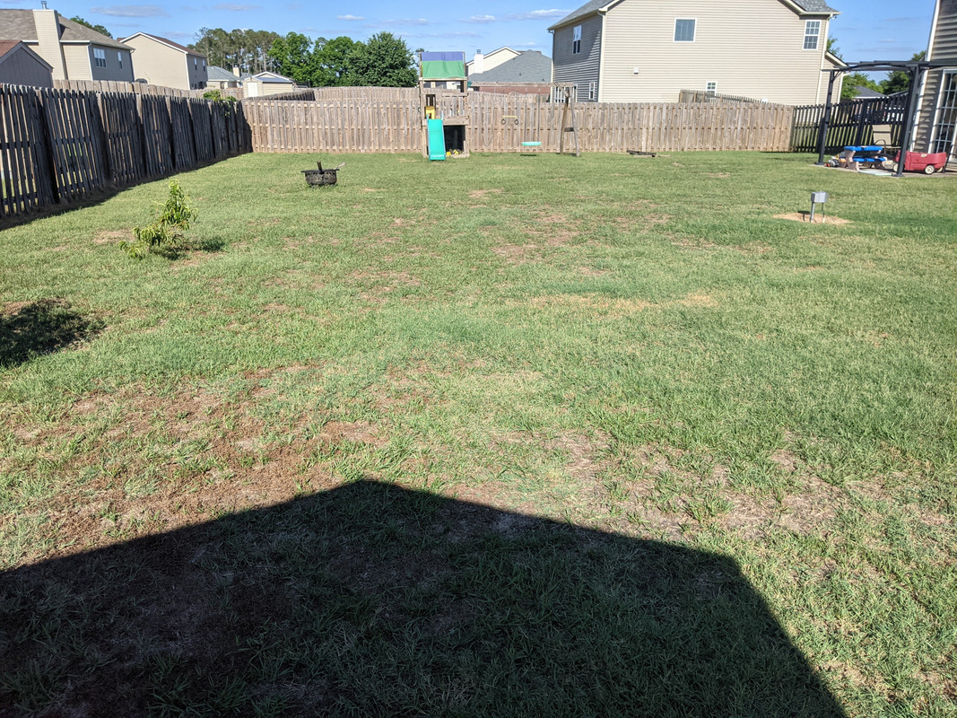 2021.05.30 back yard 1