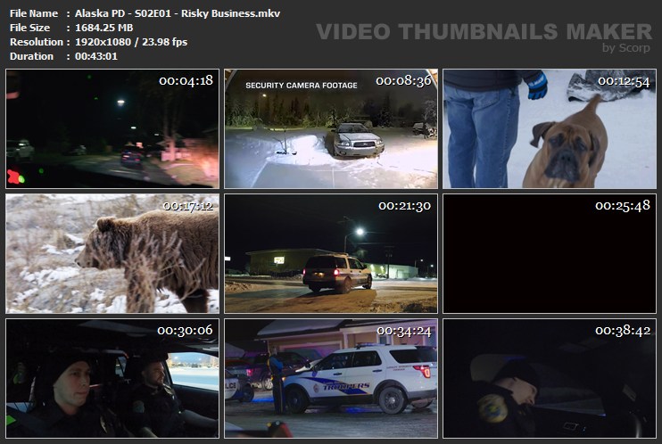 Alaska PD - S02E01 - Risky Business.mkv