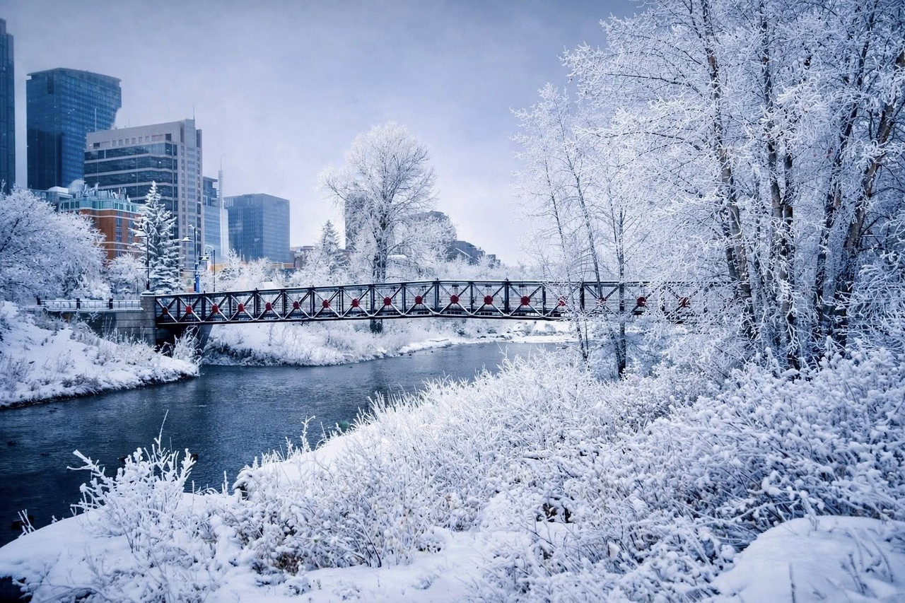 611118030-10164460018423523-5990952705347221949-n-Calgary.jpg
