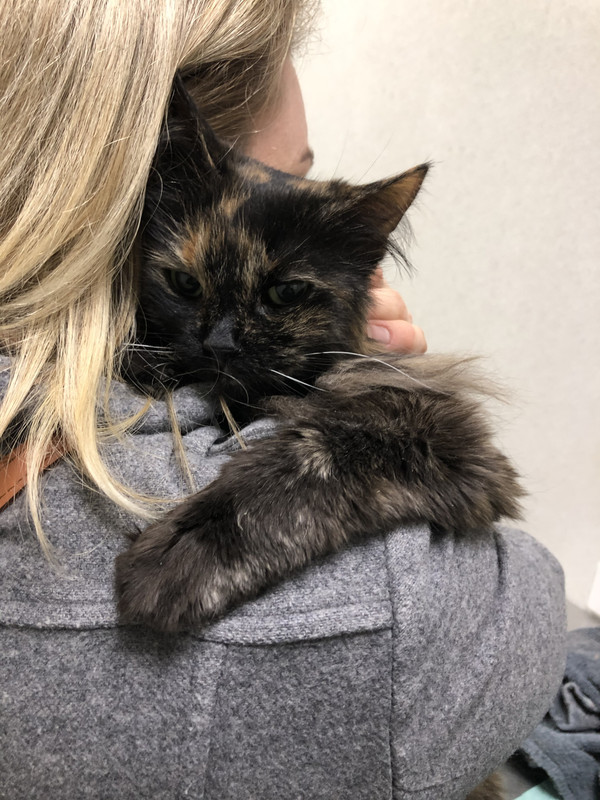 8C48D3C0-53DF-4683-BAE6-890E0536E1CE