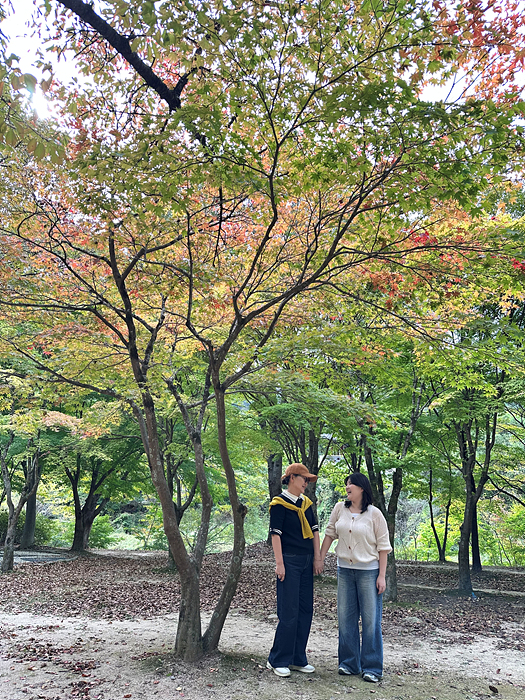 Kakao-Talk-20261006-153032597-13