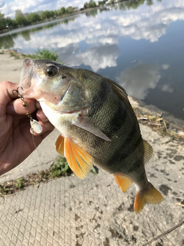 34F314C5-31D4-4FE6-8338-0988DB244308