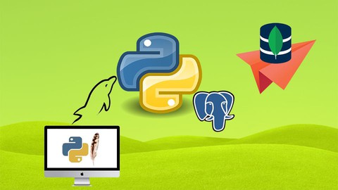 Easy Python Programming For Absolute Beginners SQL in Python (2023)