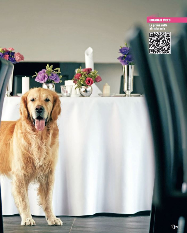 QuattroZampe Mar 2023 (8)