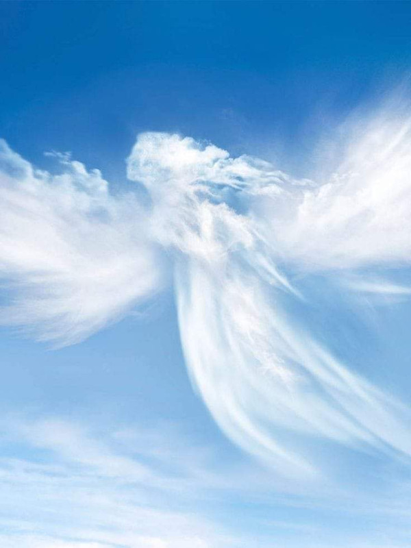 [Image: FB-IMG-1701112237604.jpg]