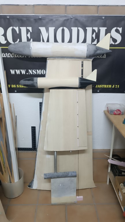 IMG_20241209_155247 (Medium)