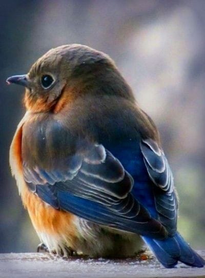 58378120-D8F9-450E-9E31-91CAFD2CD5D8