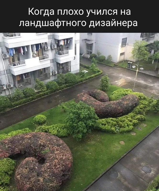 [Изображение: 917045d715321584e307ca4a81052eb9.jpg]