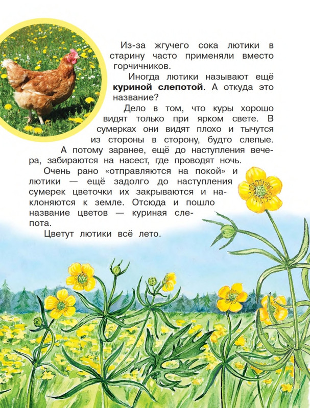 Onegov-Anatolij-Pochemu-kukushka-slozki-lot-page-0012