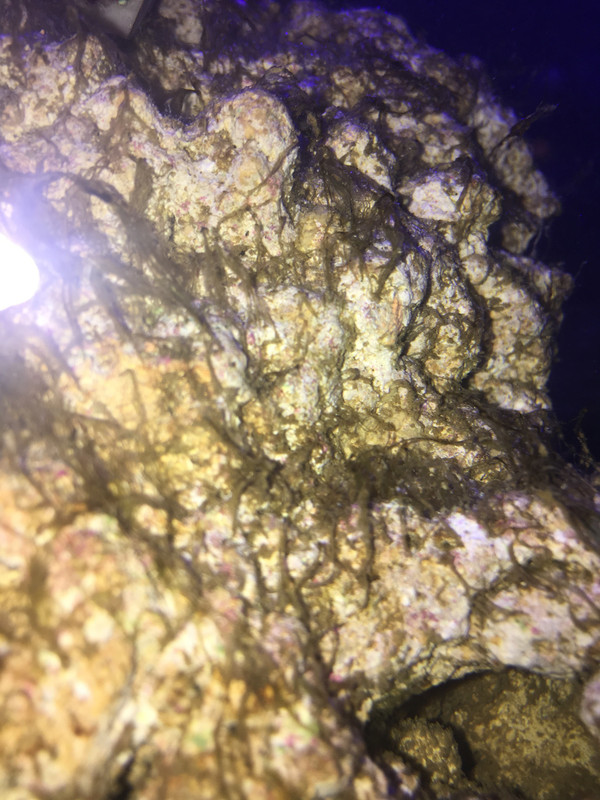 690877AF-D41B-47E4-9E73-A31E0B9471D7