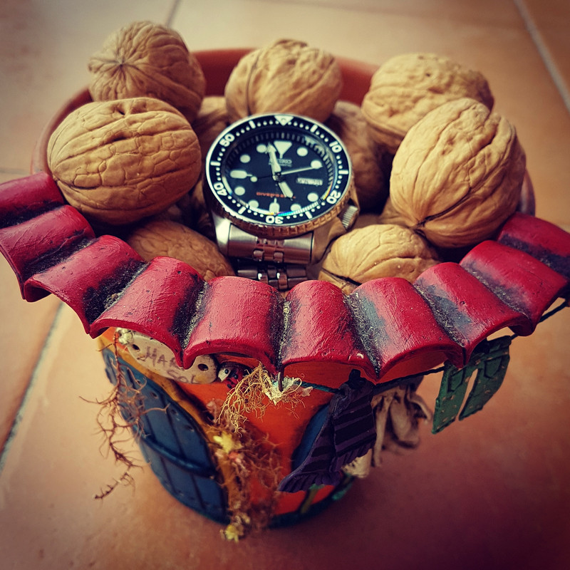 Seiko Prospex SKX007 Cal. 7S26 Auto 200M (1)