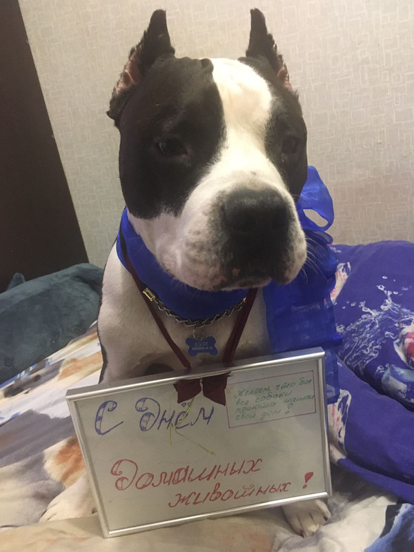 035AC5DF-318B-4C2E-A56E-3AE6B9A7D2B3