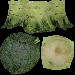Broccoli-Albedo