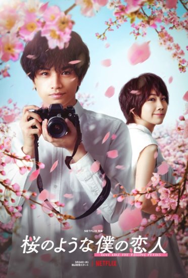 Miłość jest jak opadające płatki kwiatów / Sakura no Yōna Boku no Koibito (2022) PL.WEB-DL.XviD-GR4PE | Lektor PL