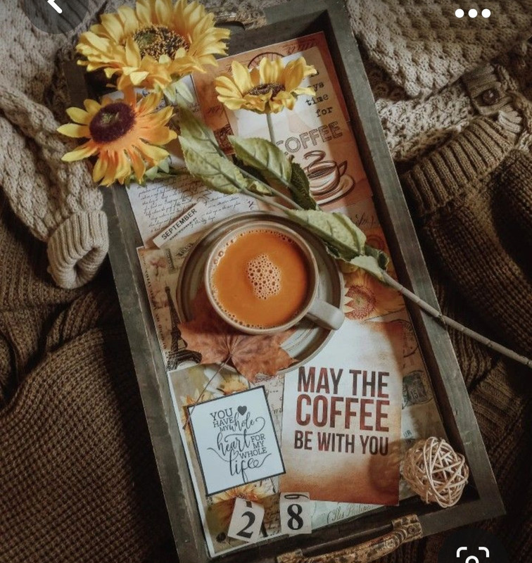 Screenshot_20231031_171339_Pinterest