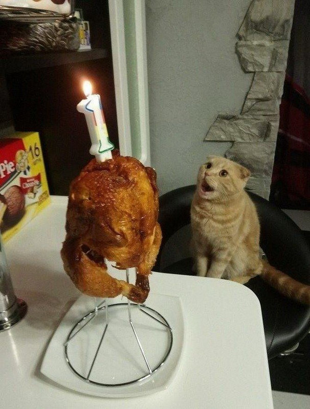 thumbs-EMOK-Picdump-710-025.jpg